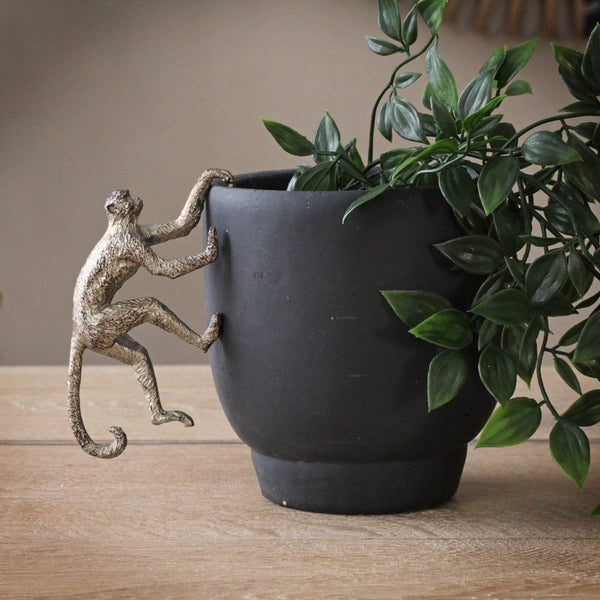 monkey plant hanger Monkey Pot Hanger – Sophie MacBain