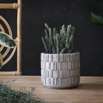 Cement Anyas Planter - Small and Large