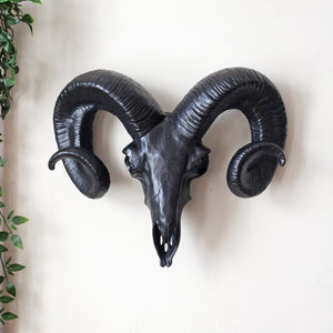Decorative Black Ram Skull Wall Head