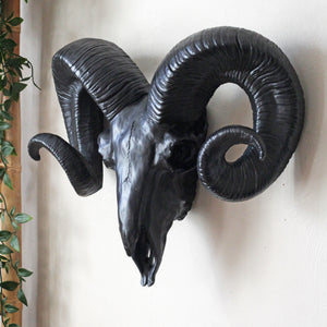 Decorative Black Ram Skull Wall Head