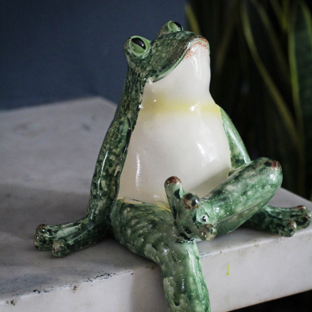 Frog Shelf Sitter