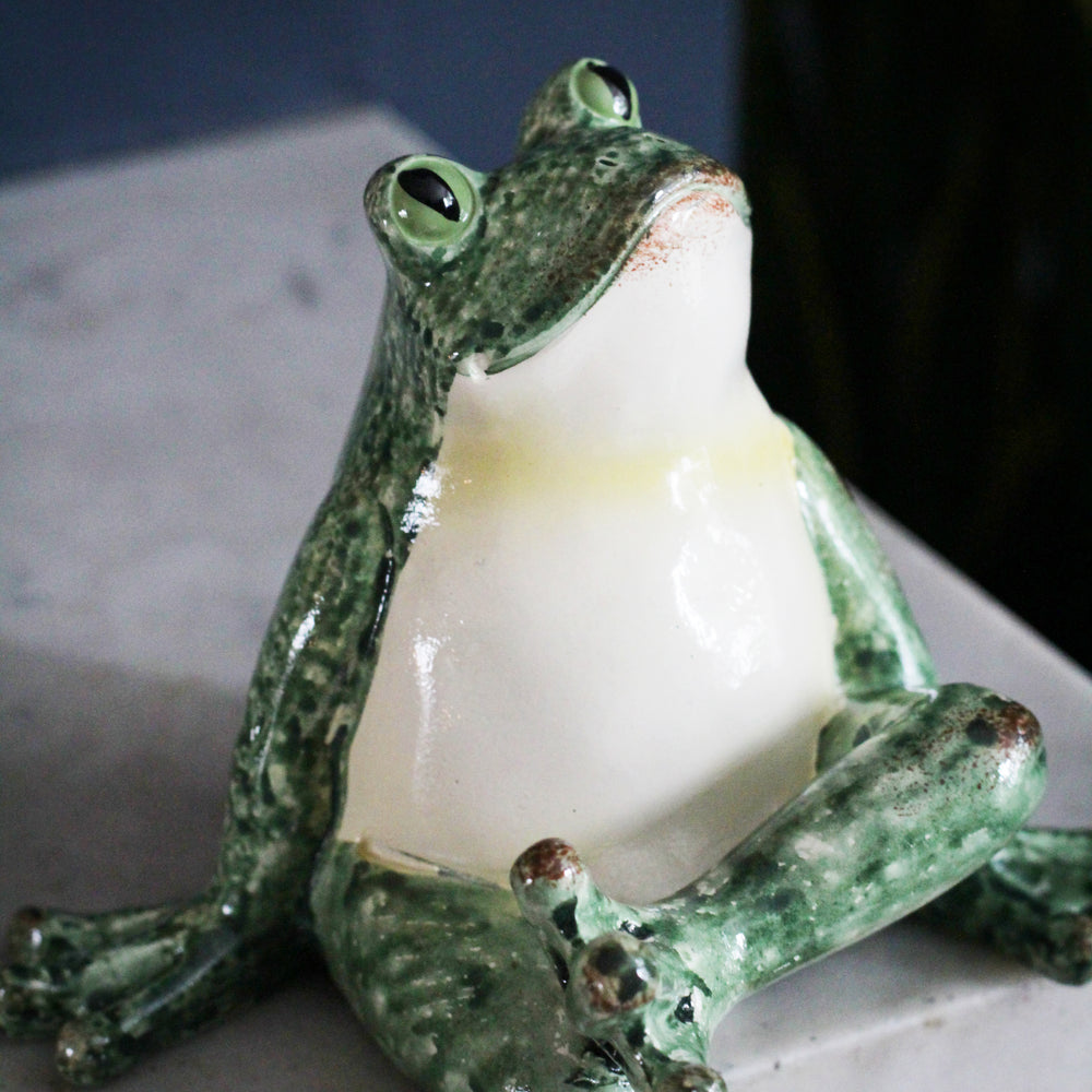 Frog Shelf Sitter