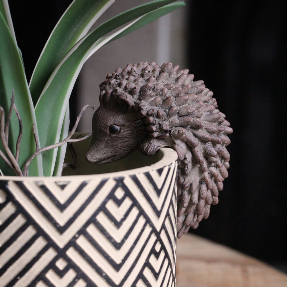 hedgehog plant pot hanger Hedgehog Pot Hanger in Brown – Sophie MacBain