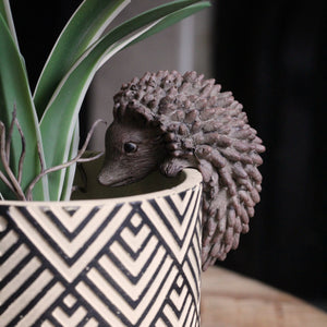 Hedgehog Pot Hanger in Brown