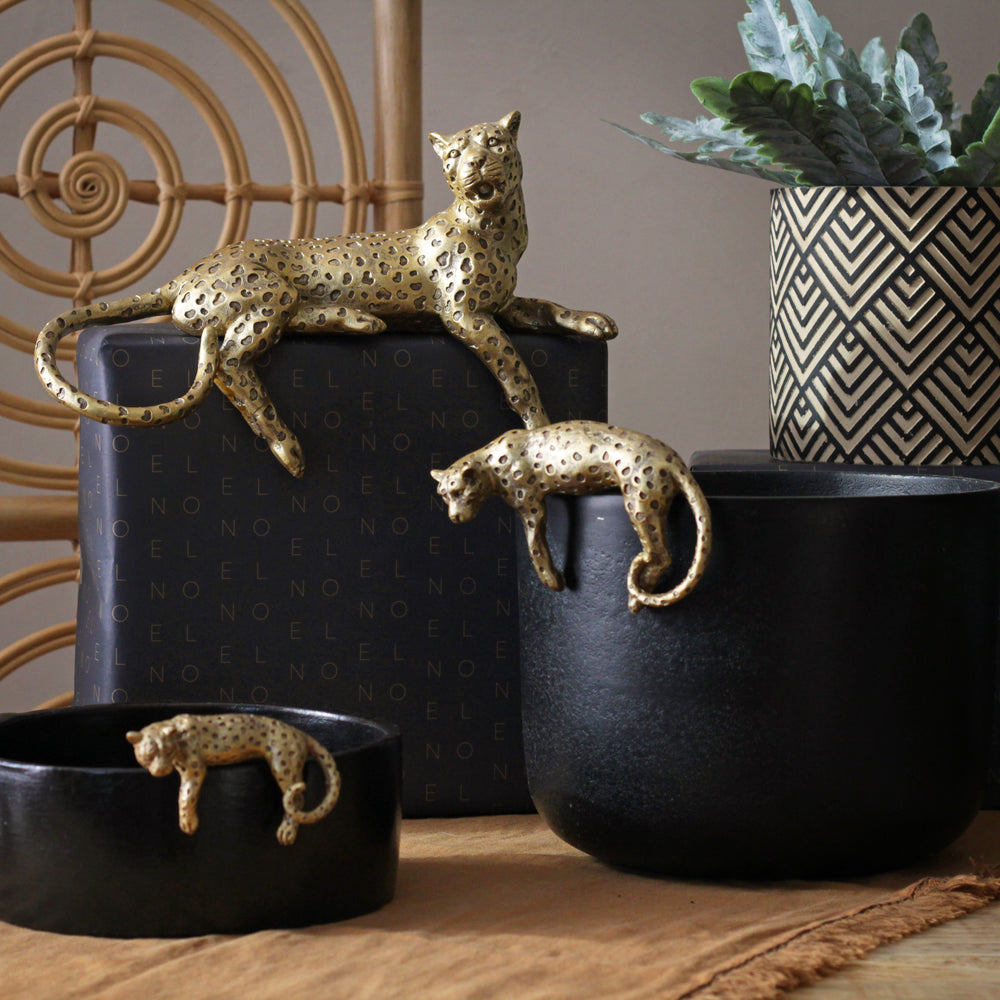 leopard hanging planter Small Leopard Pot Hanger – Sophie MacBain