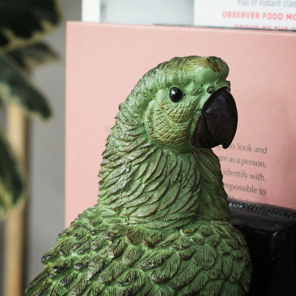 Set of Parrot Bookends