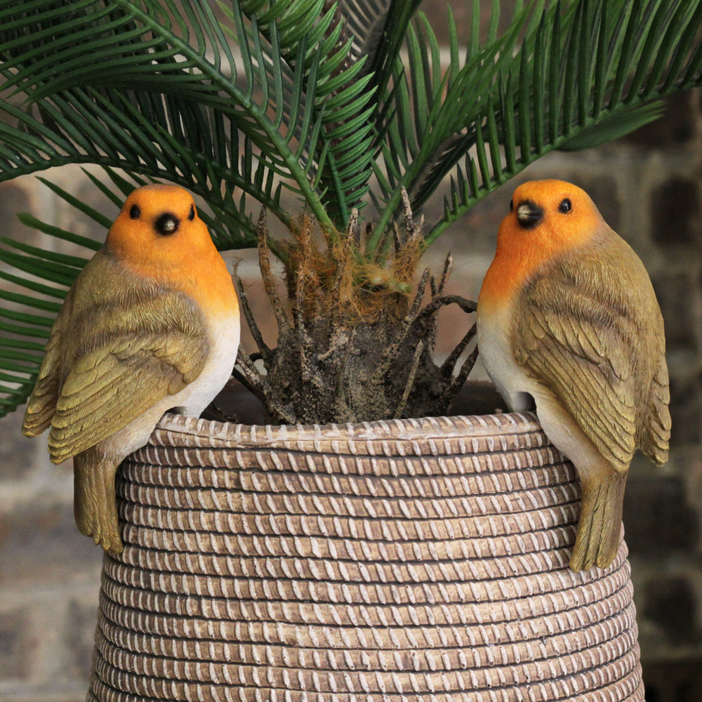 Robin Pot Hangers - Set of 2