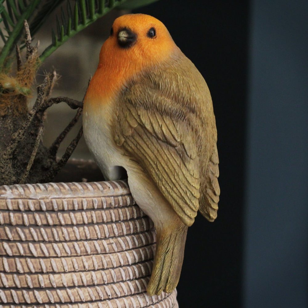 Robin Pot Hangers - Set of 2