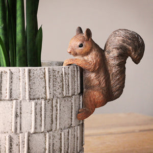 Brown Squirrel Pot Hanger