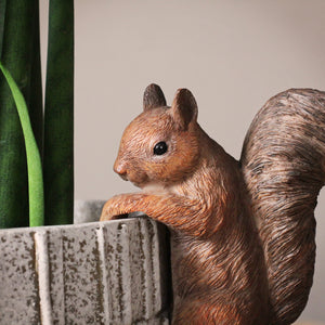 Brown Squirrel Pot Hanger