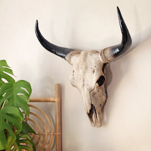 Decorative Bison Heads