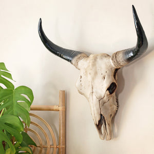 Decorative Bison Heads