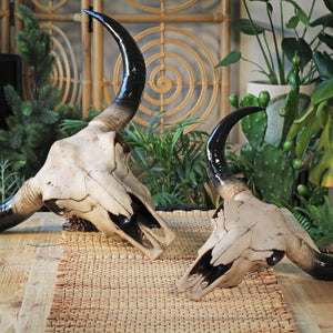 Decorative Bison Heads