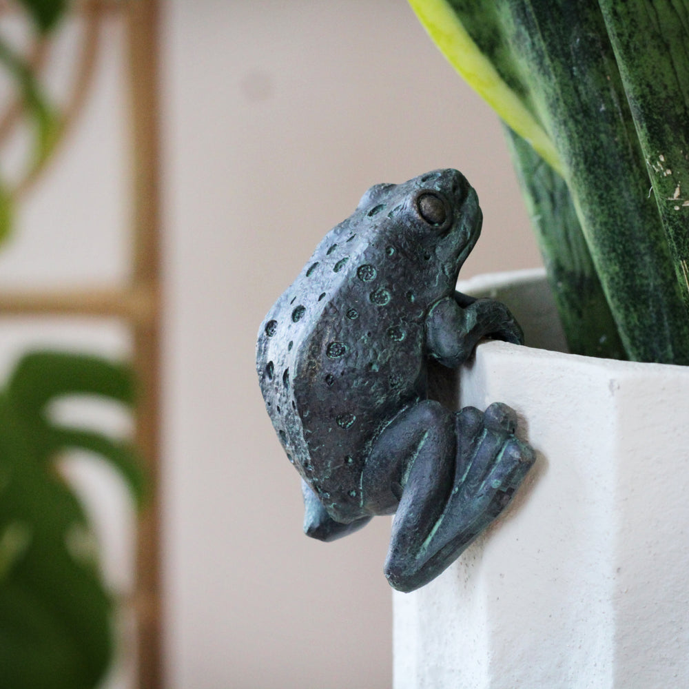 hanging frog planter Frog Pot Hanger – Sophie MacBain