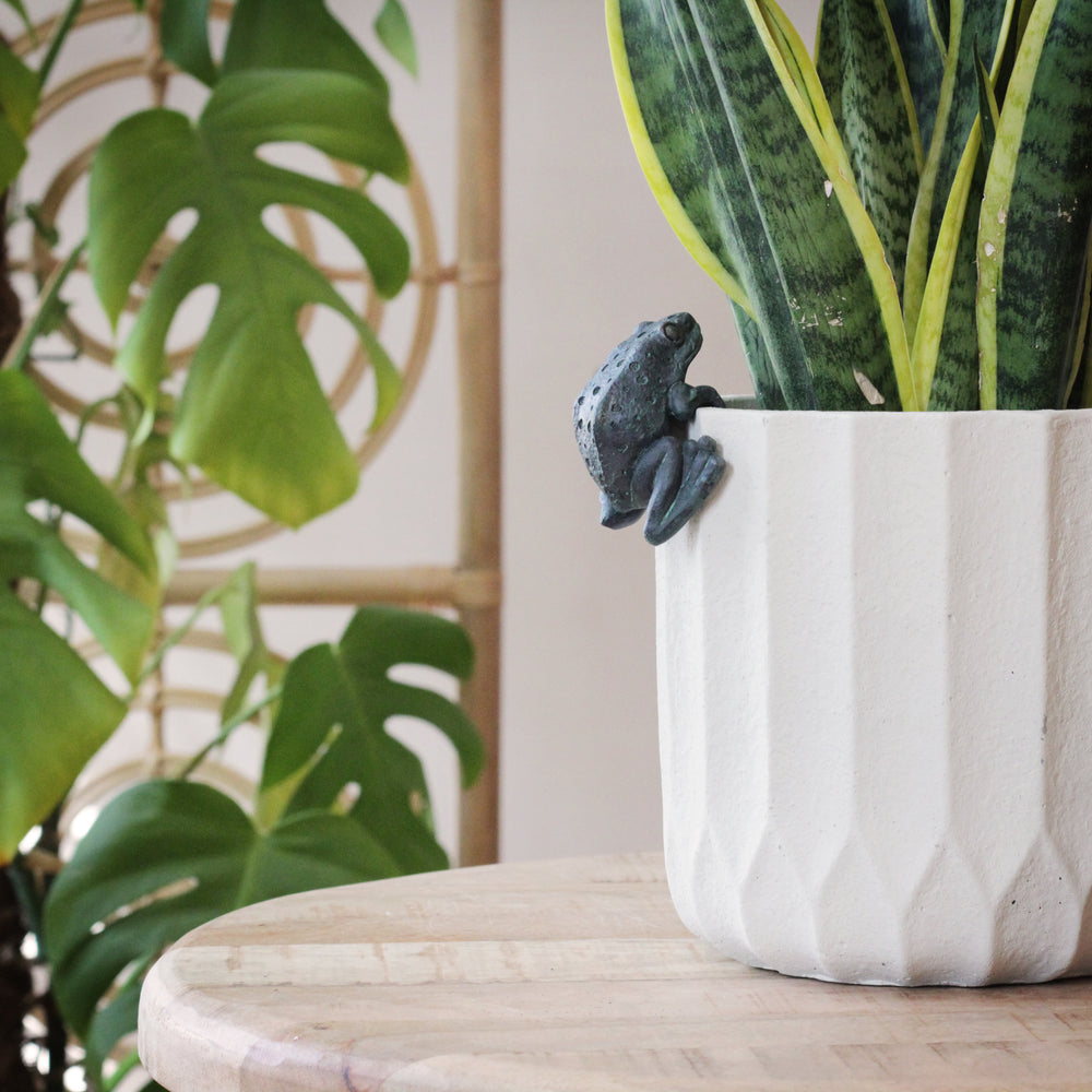 frog plant pot hangers Frog Pot Hanger – Sophie MacBain