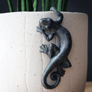 Gecko Pot Hanger