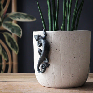 Gecko Pot Hanger