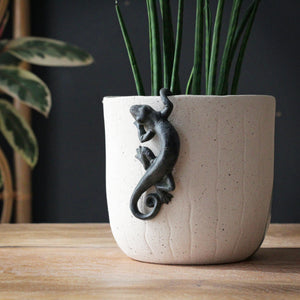 Gecko Pot Hanger