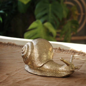 Gold Snail Decor