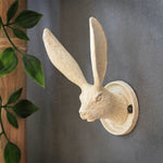 Hare Hook - Cream Finish