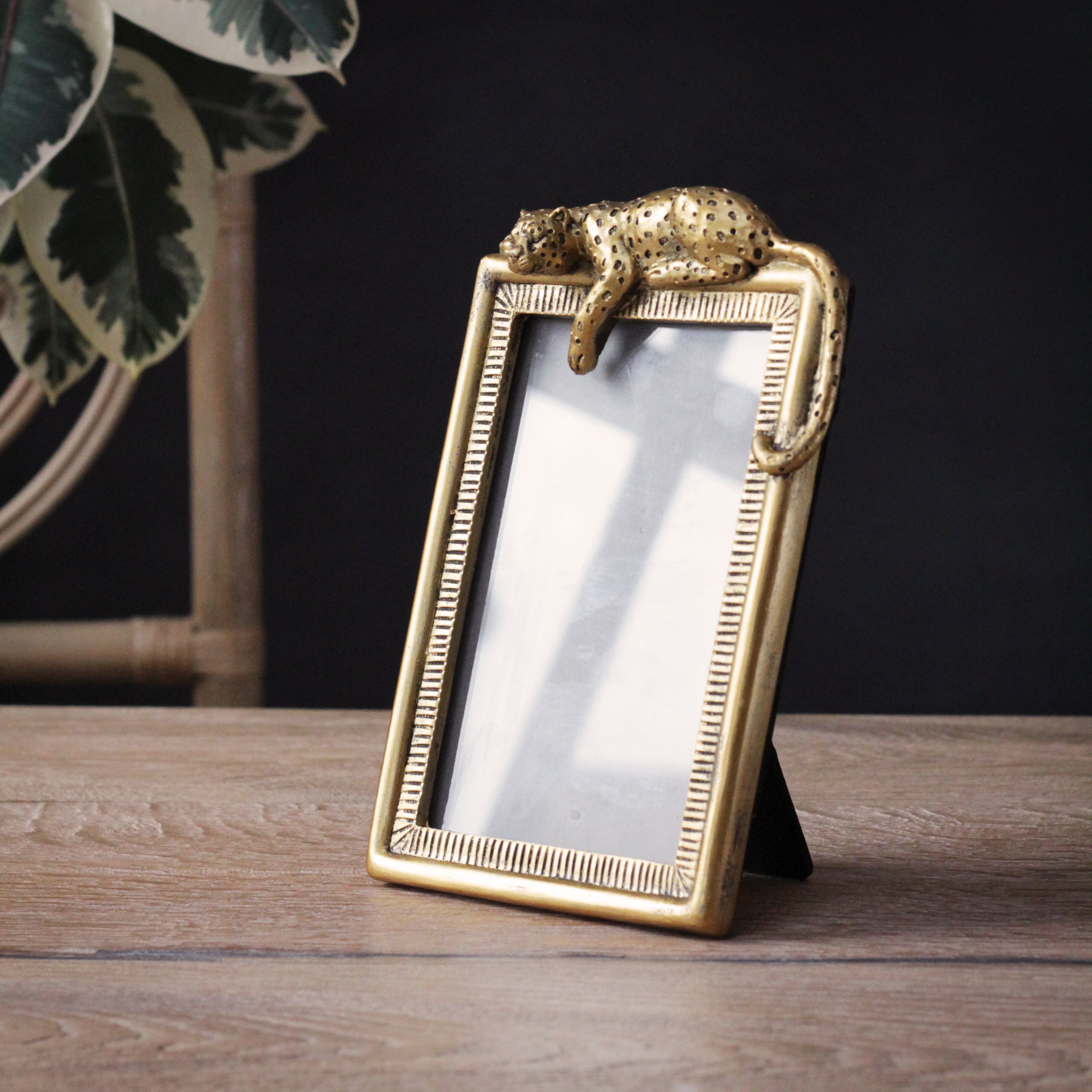 Gold Leopard Photo Frame – Sophie MacBain