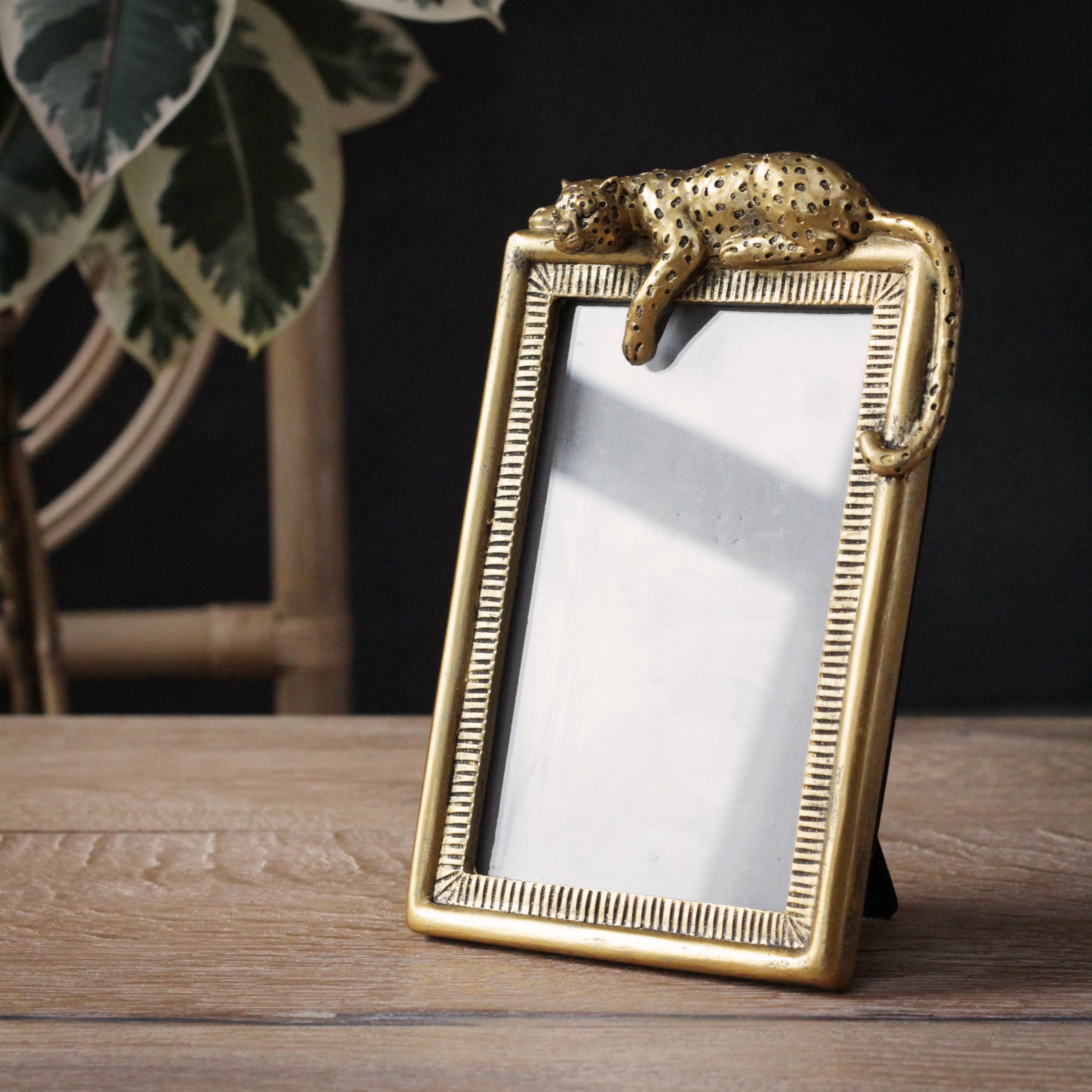 Gold Leopard Photo Frame – Sophie MacBain