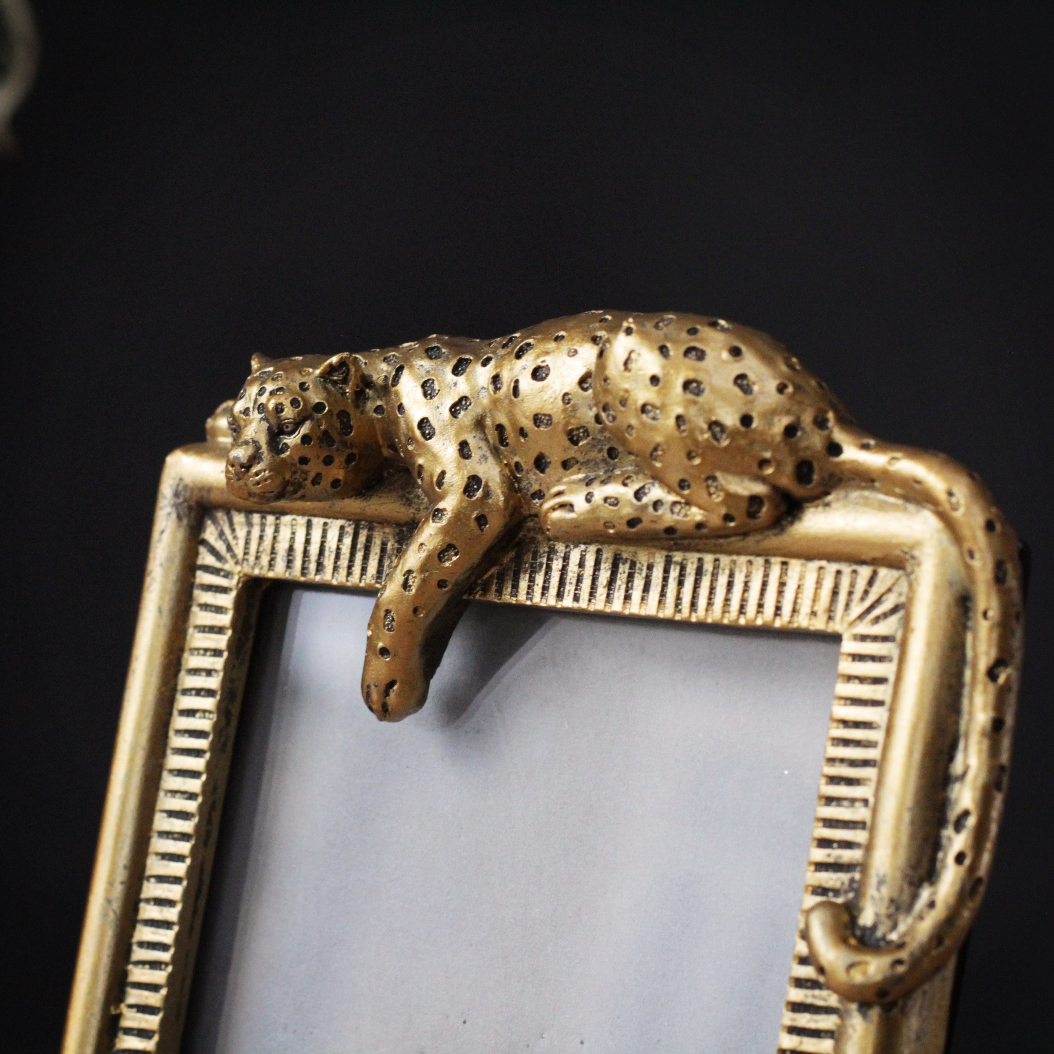 Gold Leopard Photo Frame – Sophie MacBain