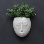 Round Face Wall Planter