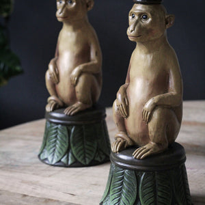 Monkey Candlestick