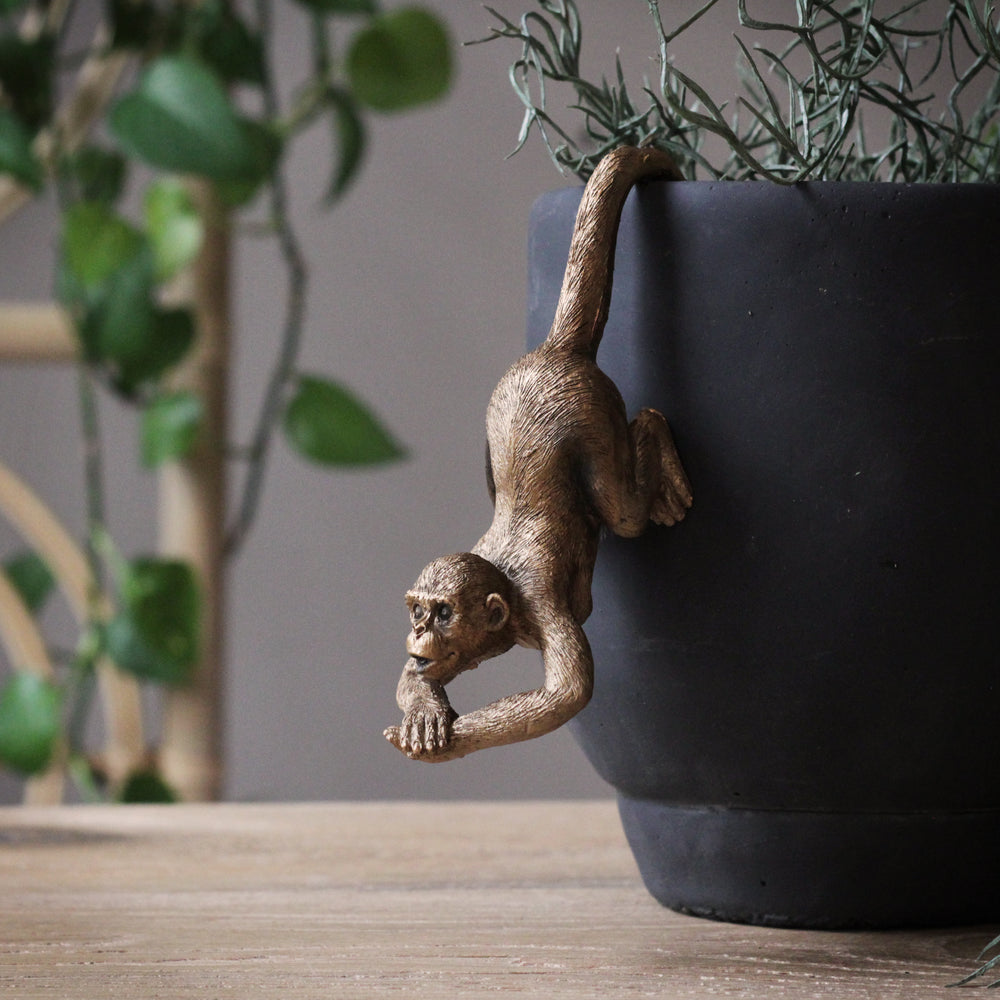 monkey plant hanger Gold Monkey Tail Pot Hanger Ornament – Sophie MacBain
