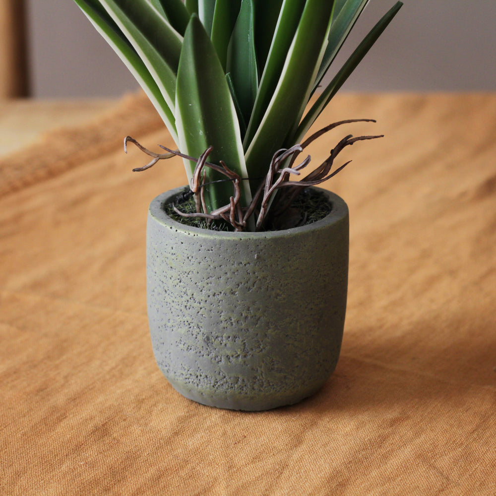 Faux Potted Agave