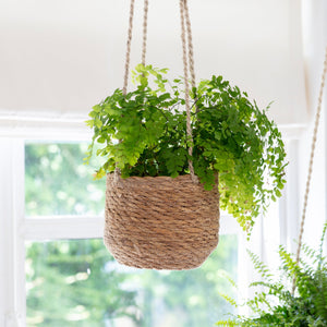 Jute and Seagrass Hanging Planters