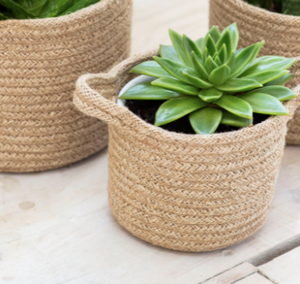 Nesting Set of 3 Planters