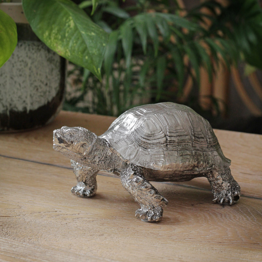 Tolly the Tortoise in Gold and Silver