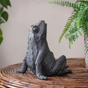 Gazing Frog Ornament