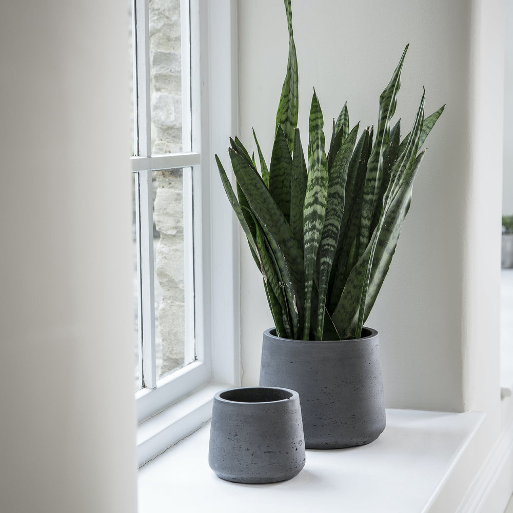 Carbon Stratton Planters (Tapered)
