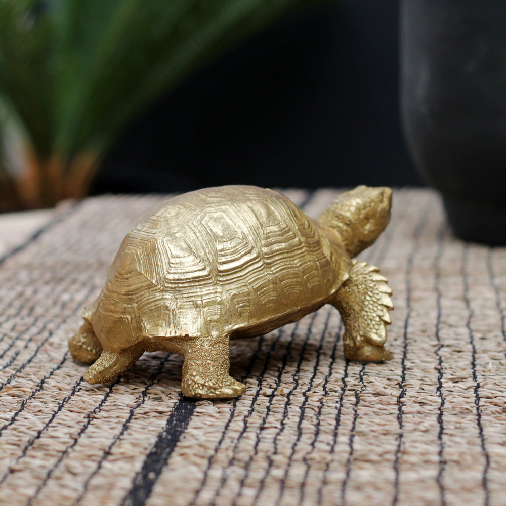 Tolly the Tortoise in Gold and Silver
